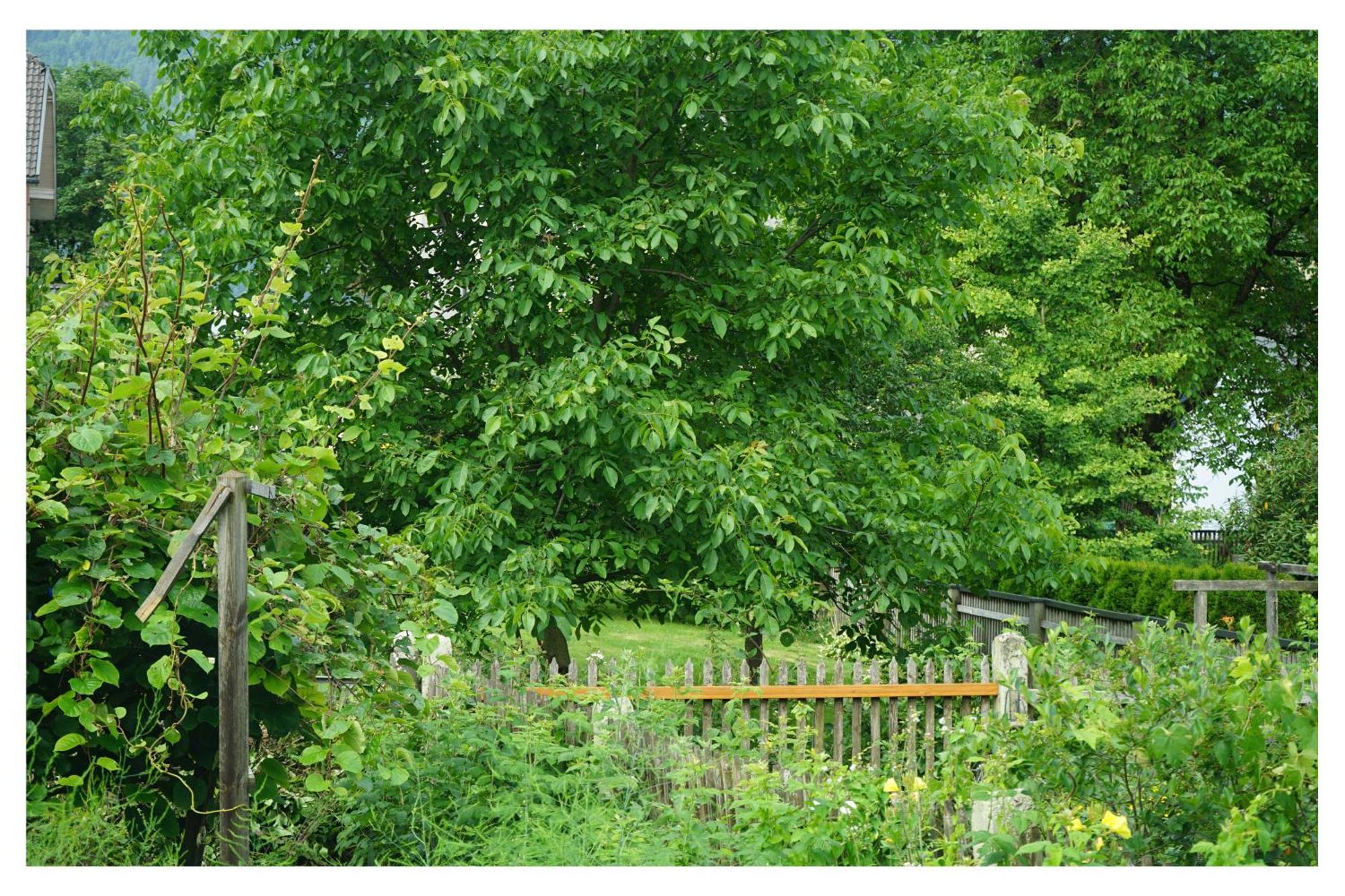 Ingrid'S Guesthouse Spittal Spittal an der Drau Exterior photo